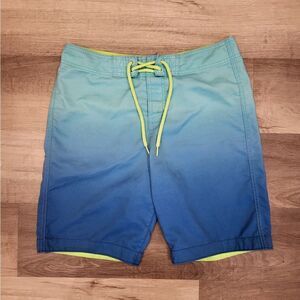 Hollister Men's Swim Shorts